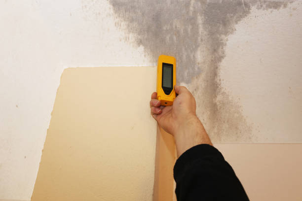 Best Indoor Air Quality Assessment  in La Porte, IN