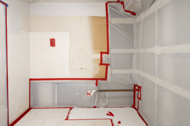 Best Airborne Mold Testing  in La Porte, IN
