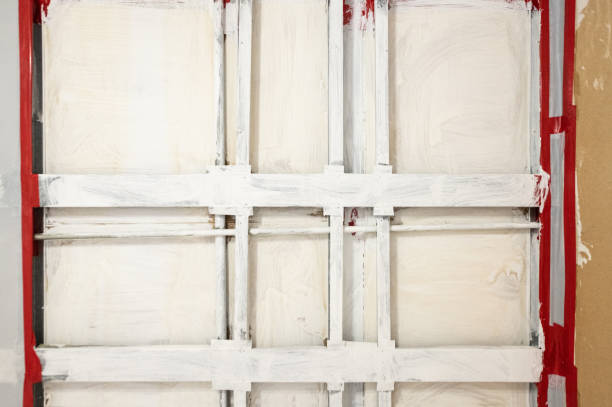 Best Mold Remediation for Healthcare Facilities  in La Porte, IN