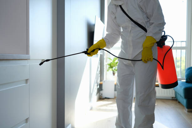 Best Mold Odor Removal Services  in La Porte, IN