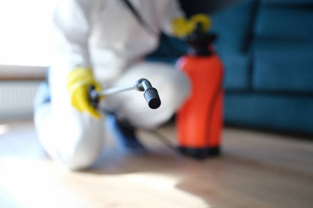 Best Air Quality Testing for Mold Spores  in La Porte, IN