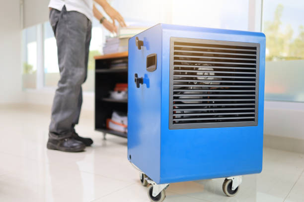 Best Industrial Mold Remediation  in La Porte, IN