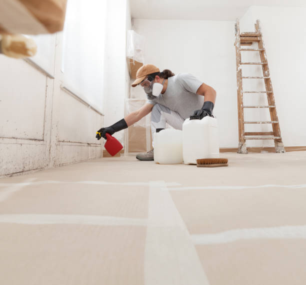 Best Mold Damage Restoration  in La Porte, IN